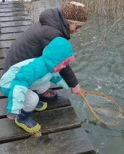 Fish Pond Stocking 2018-4