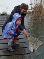 Fish Pond Stocking 2018-6