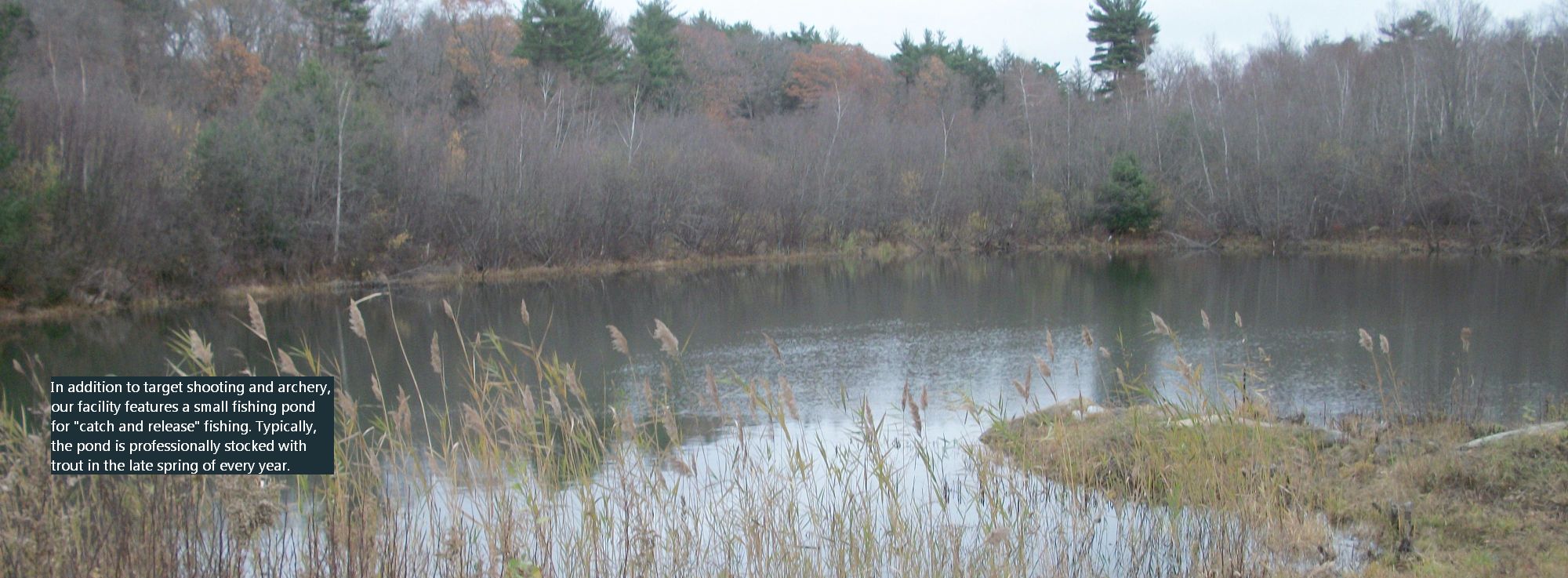 Fishing Pond