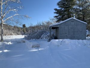 Fishing Pond-10